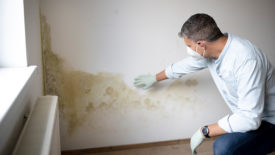mold/bacteria job site insurance
