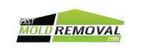 fast mold removal logo black green